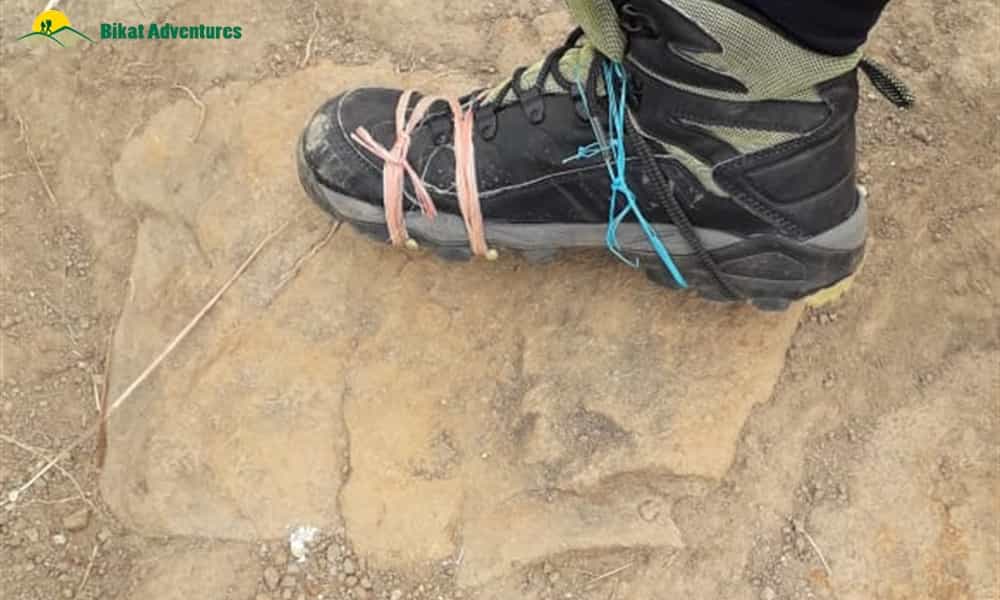 blog-image-0