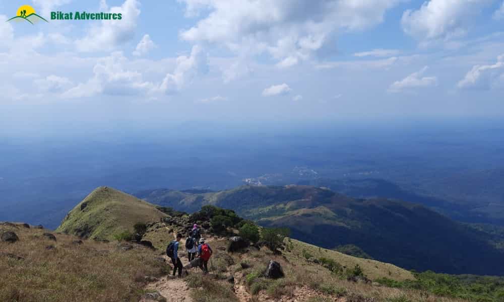 blog-image-0