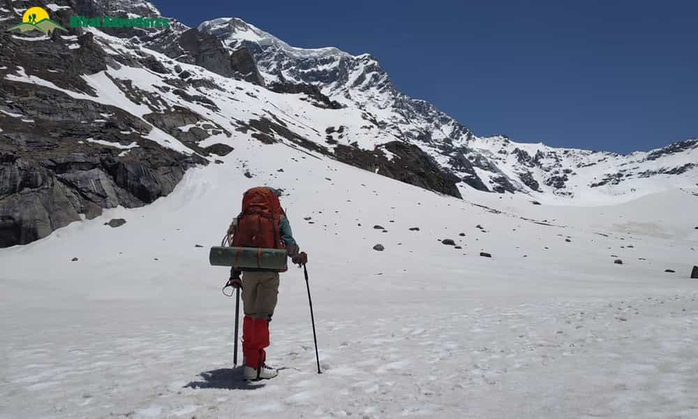 blog-image-0