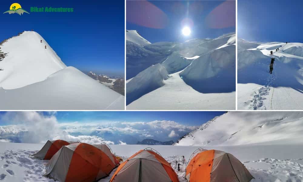 blog-image-0