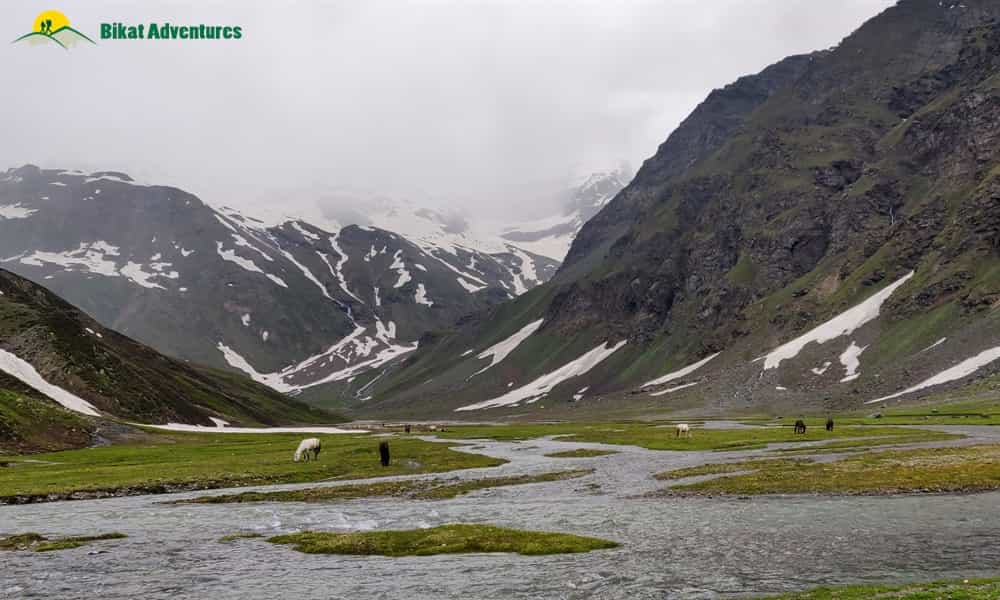 blog-image-0