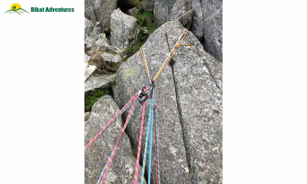 blog-image-0