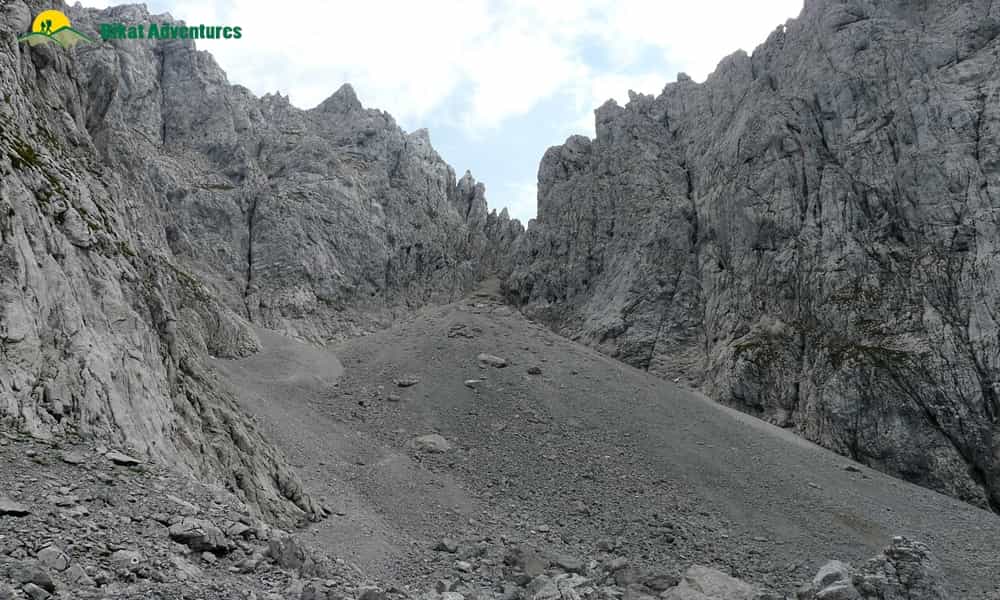 blog-image-0