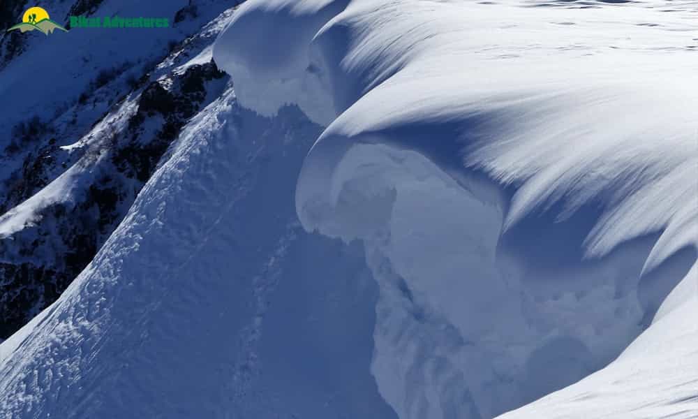 blog-image-0