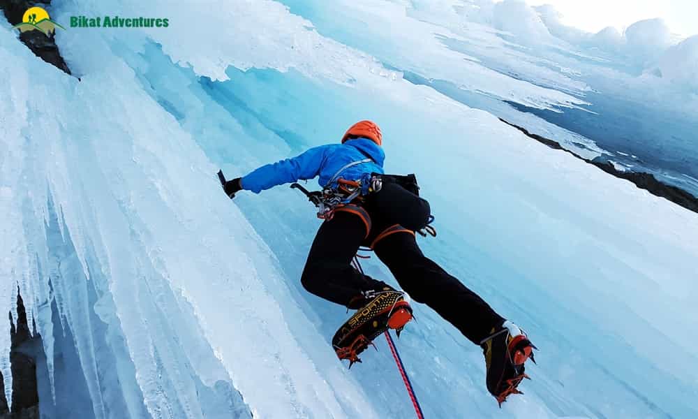 blog-image-0
