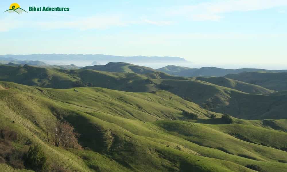 blog-image-0
