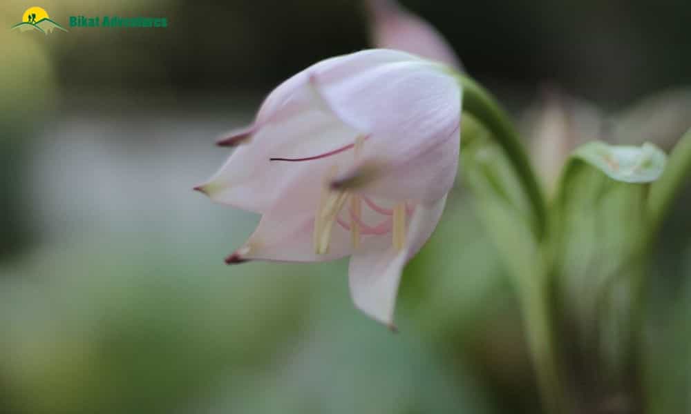blog-image-0