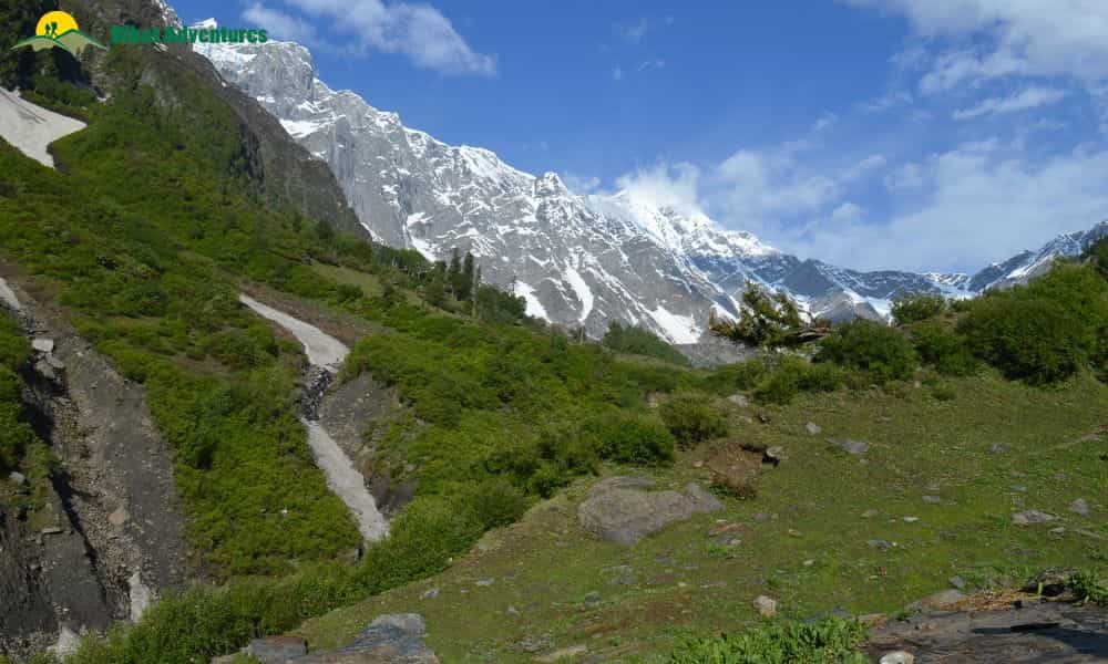 blog-image-0