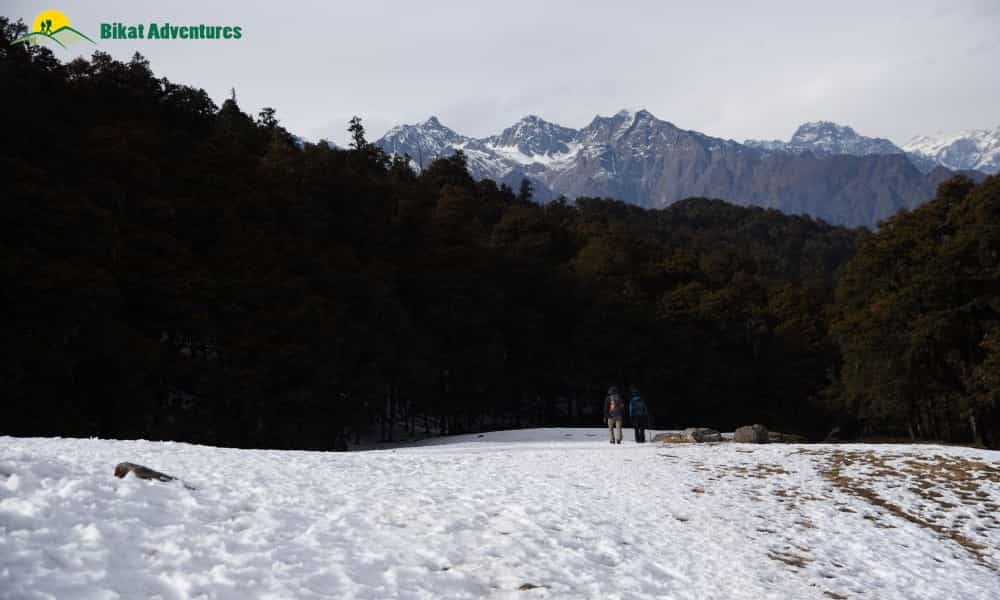 blog-image-0