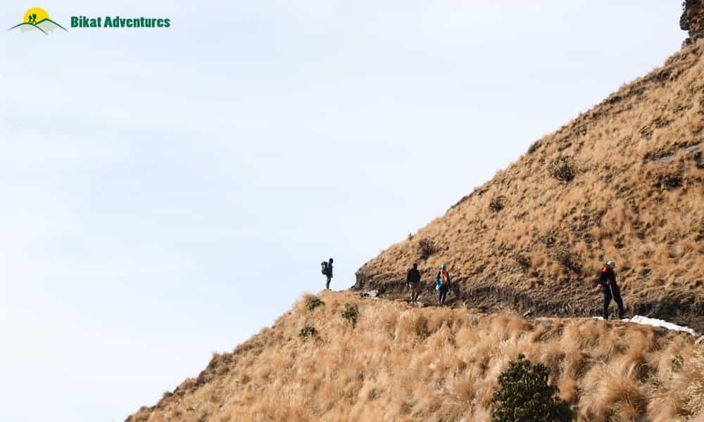 blog-image-0