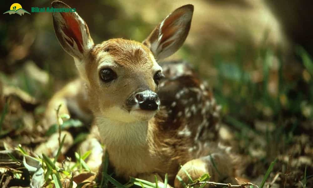 blog-image-0