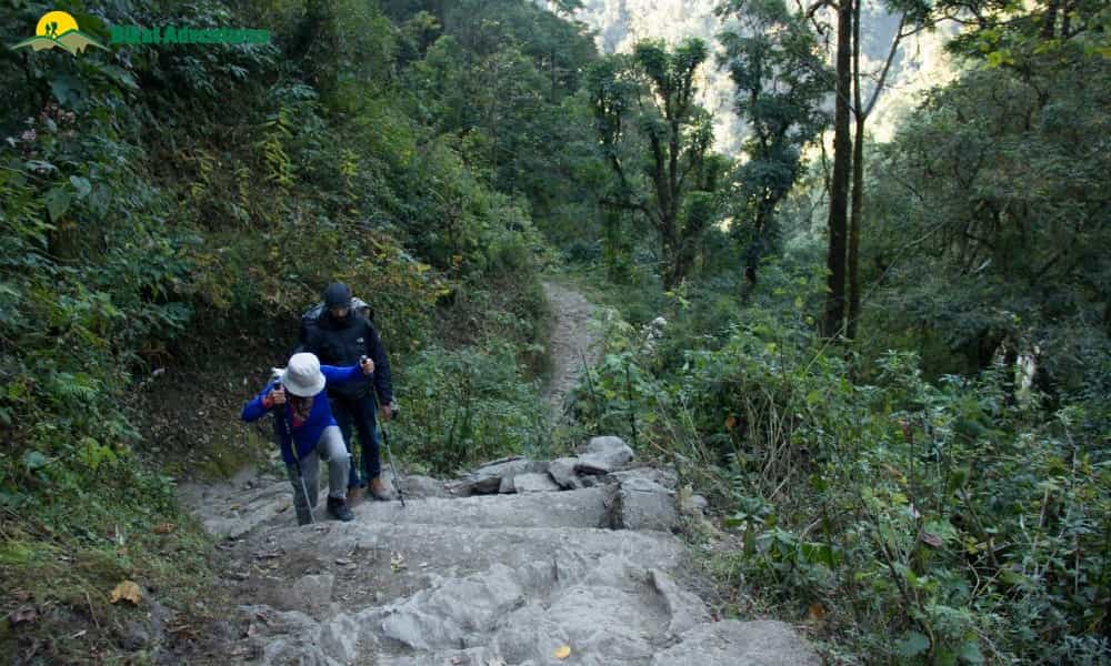 blog-image-0
