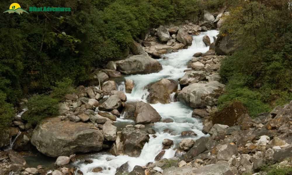 blog-image-0