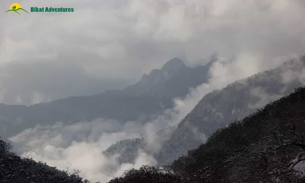 blog-image-0