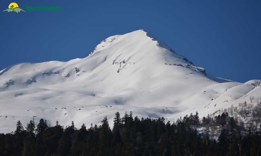 blog-image-0