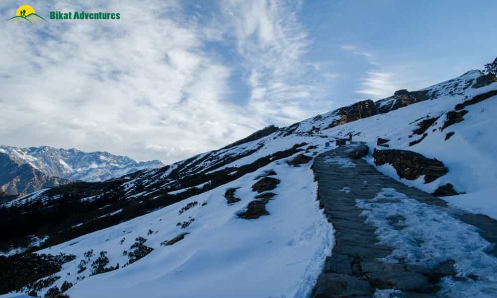 blog-image-0