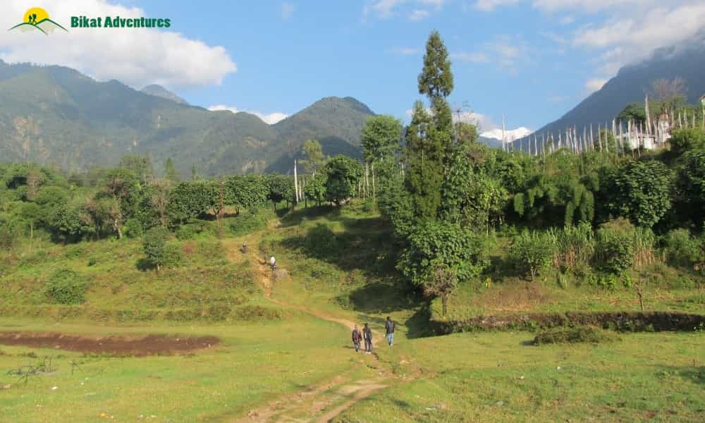blog-image-0