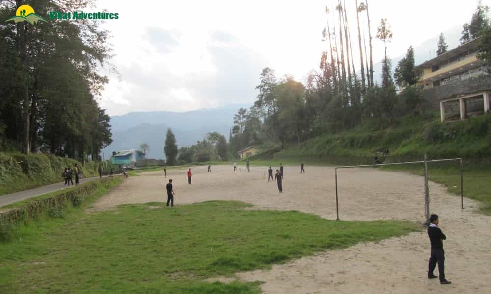 blog-image-2