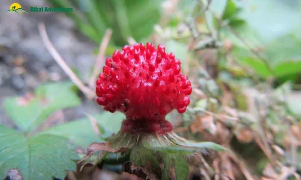blog-image-1