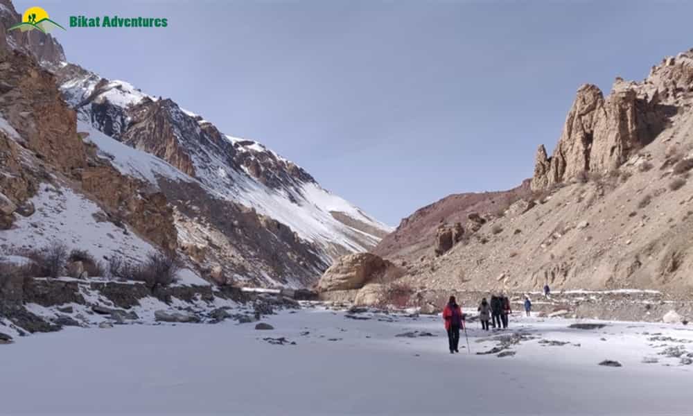 blog-image-0