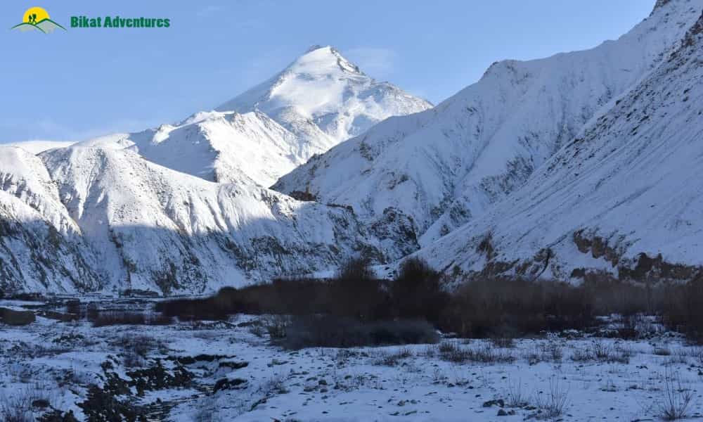 blog-image-0