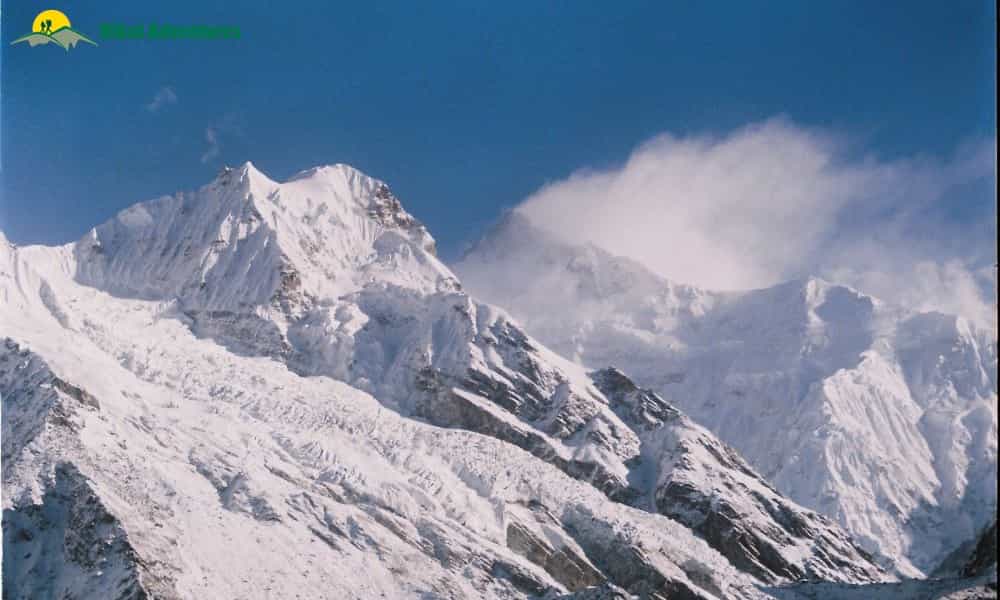 blog-image-0