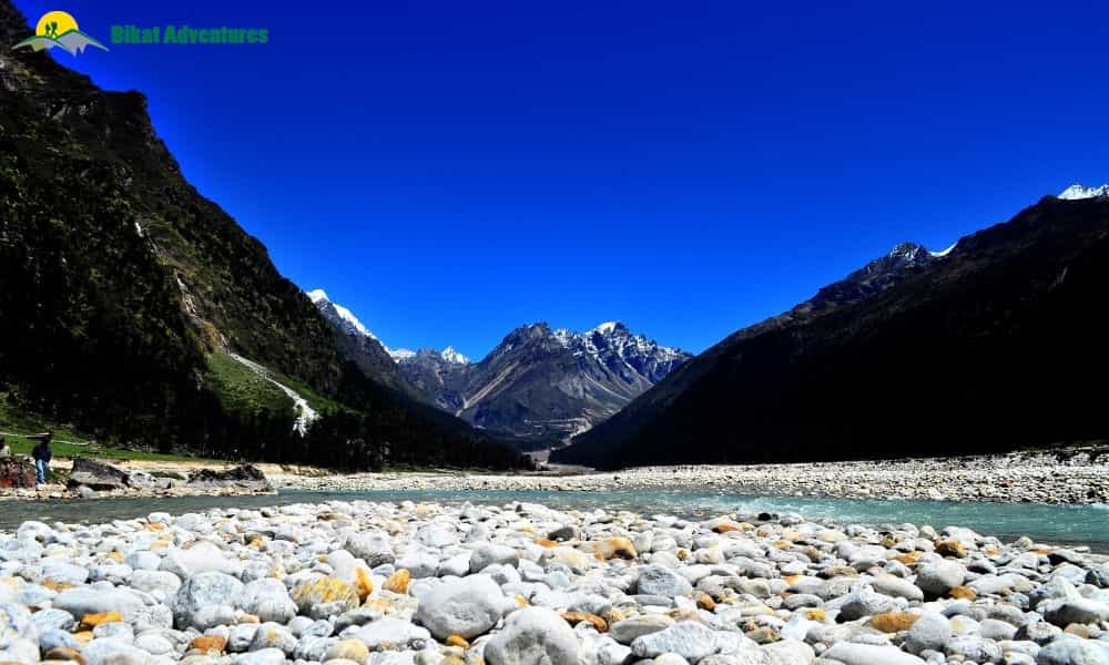 blog-image-0
