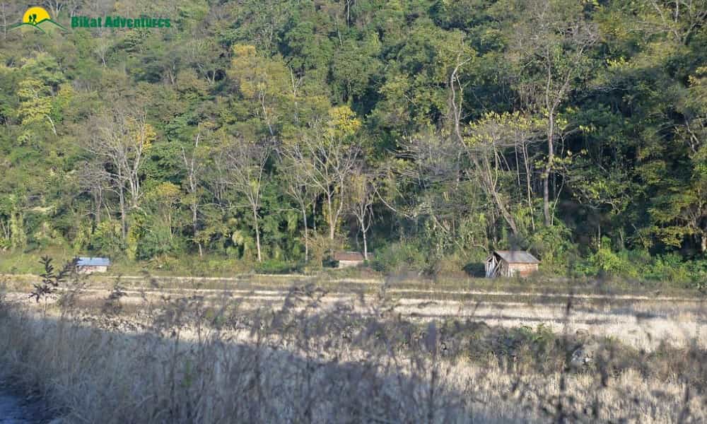 blog-image-0