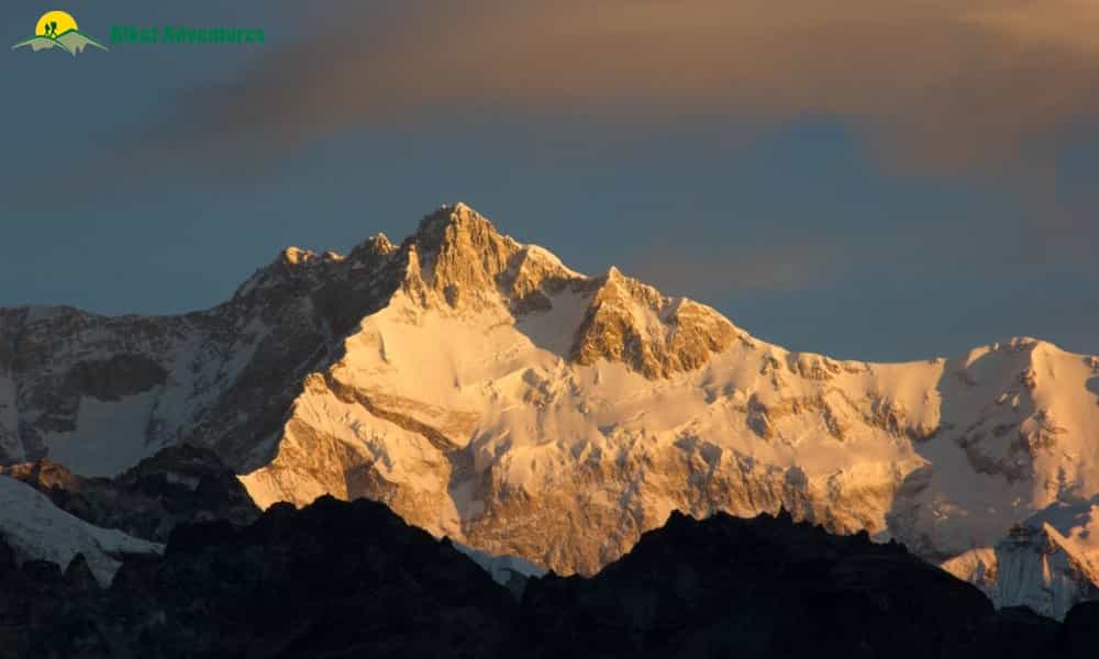 blog-image-0