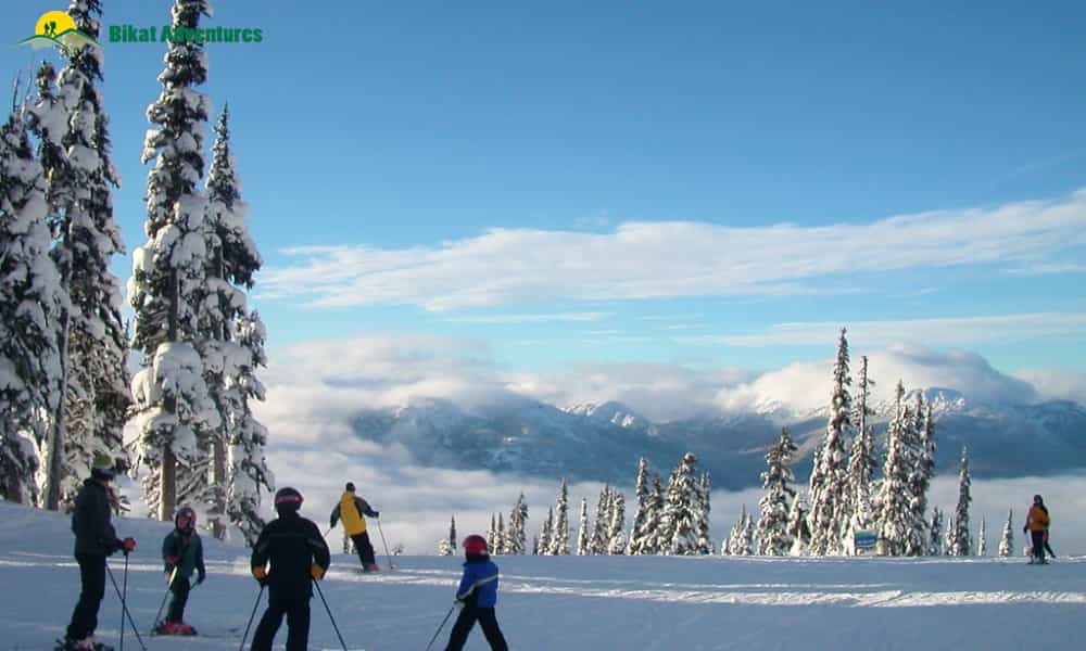 blog-image-0