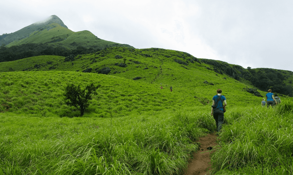 blog-image-0