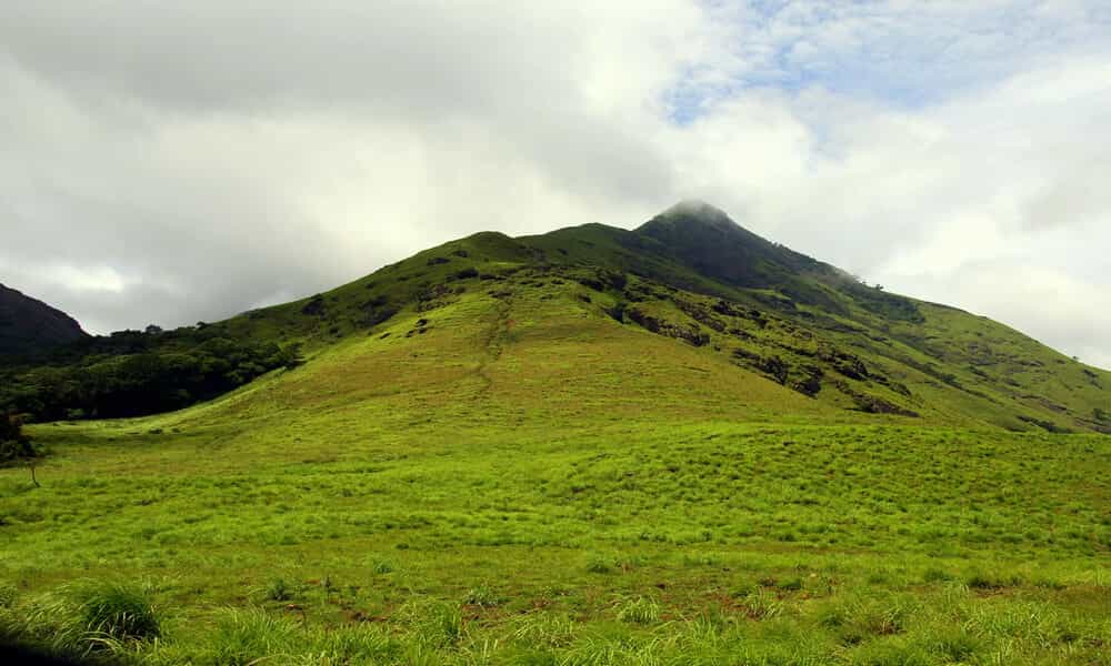blog-image-0