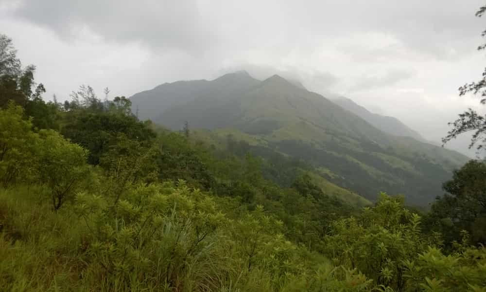 blog-image-0