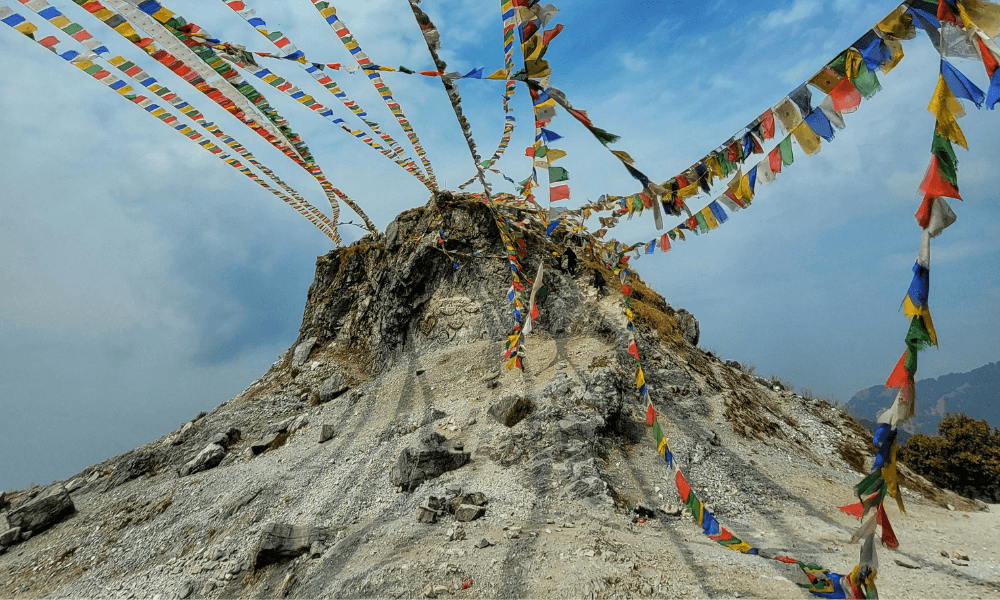blog-image-0