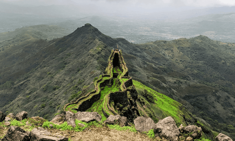 blog-image-0