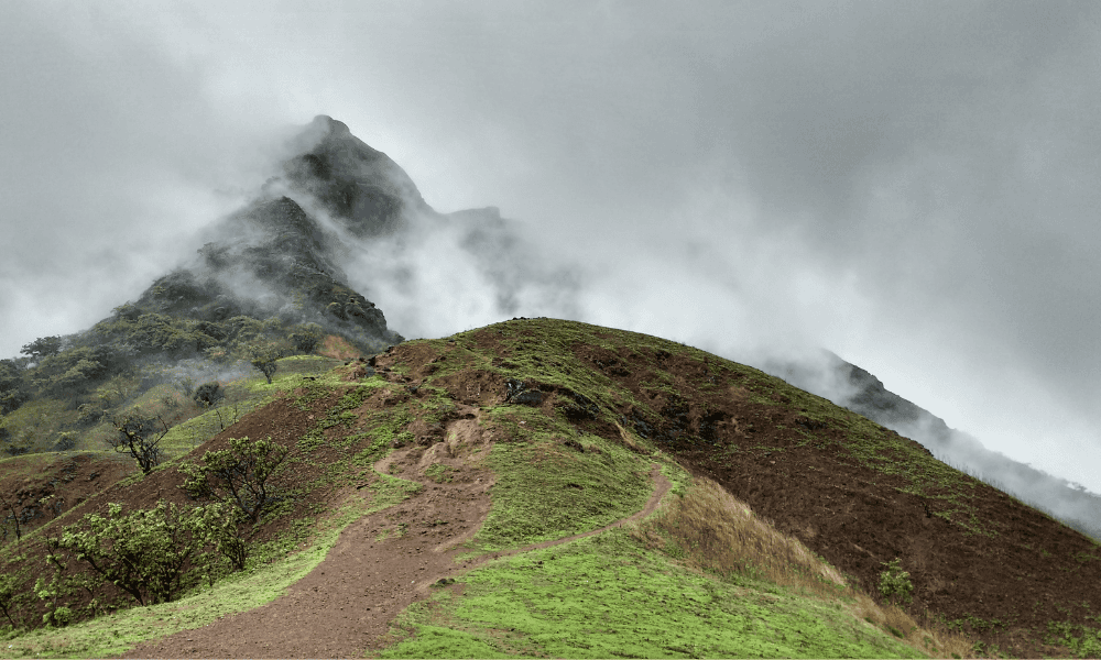 blog-image-0