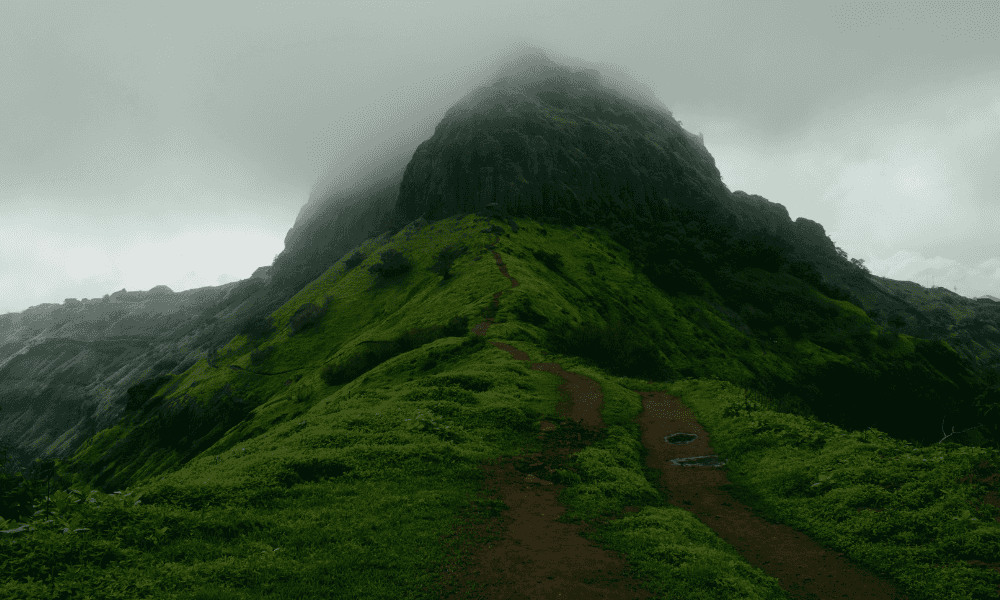 blog-image-0
