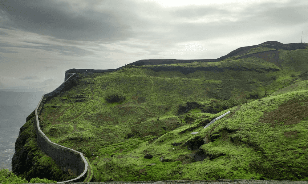 blog-image-0