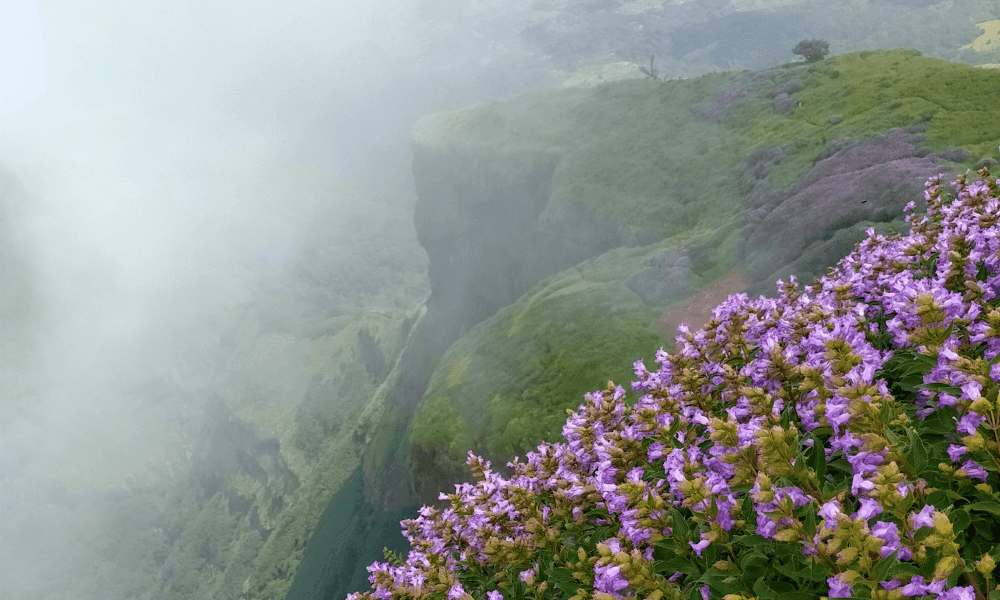 blog-image-0