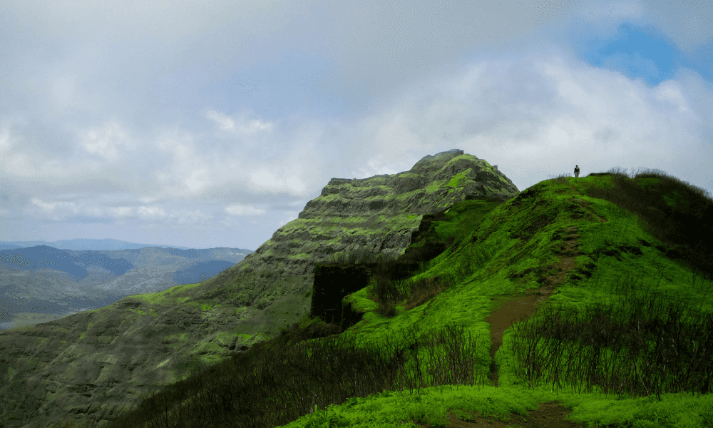 blog-image-0