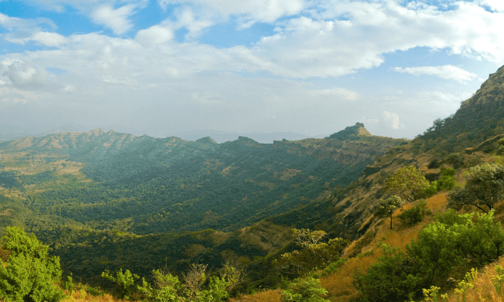 blog-image-0