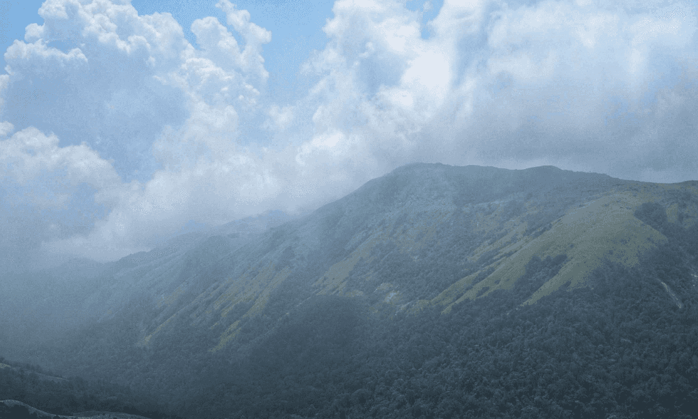 blog-image-0