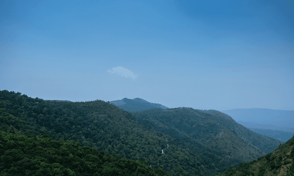 blog-image-0