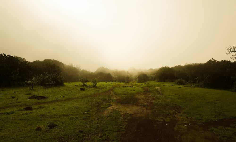 blog-image-0