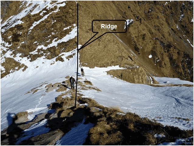 blog-image-0