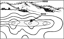 blog-image-1