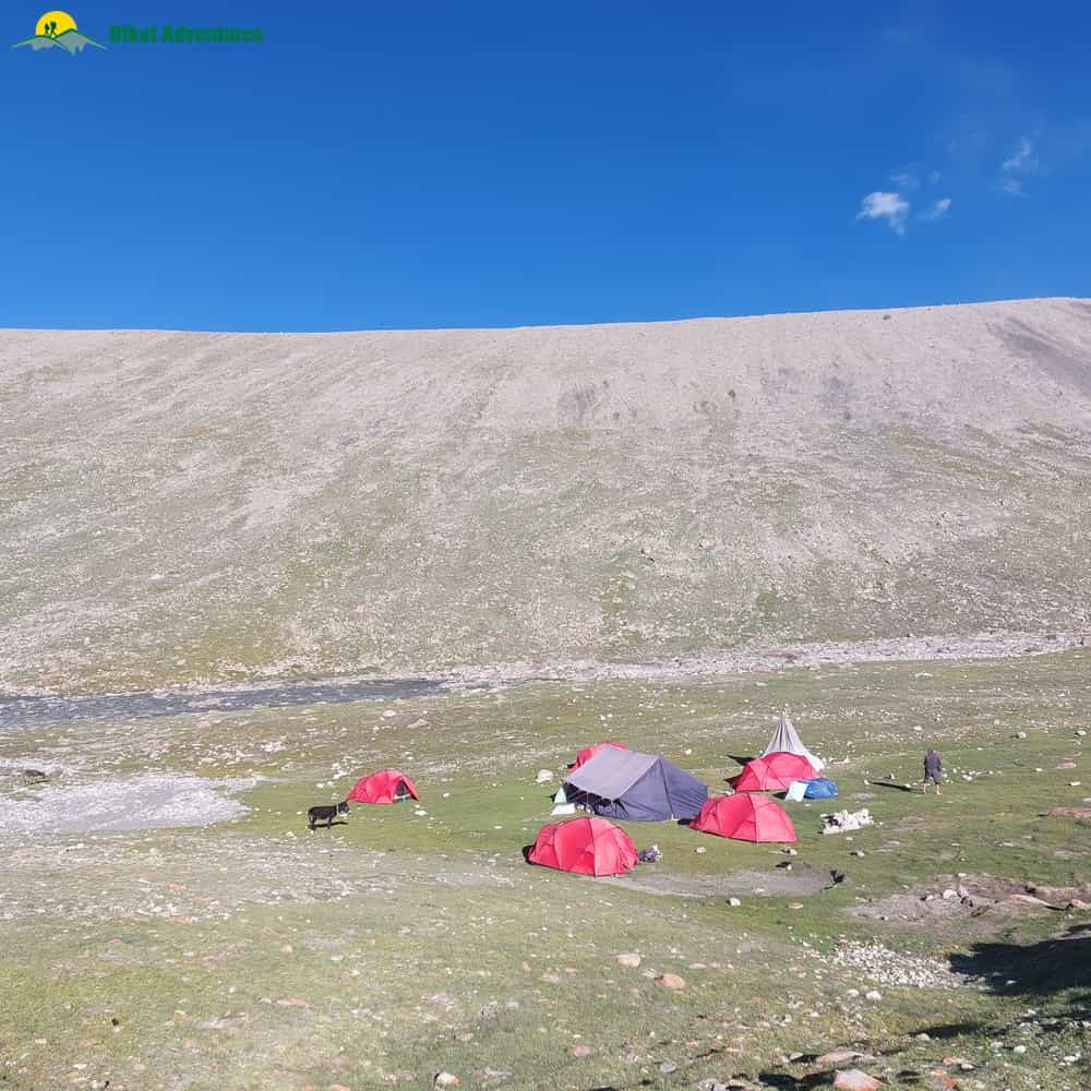 blog-image-0