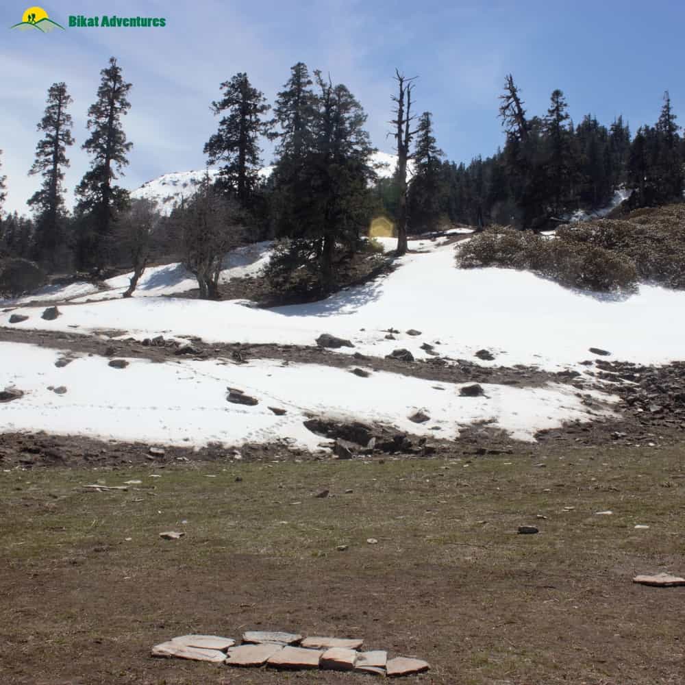 blog-image-0