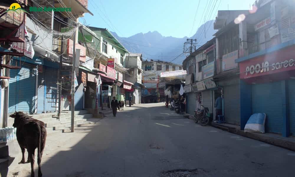blog-image-0