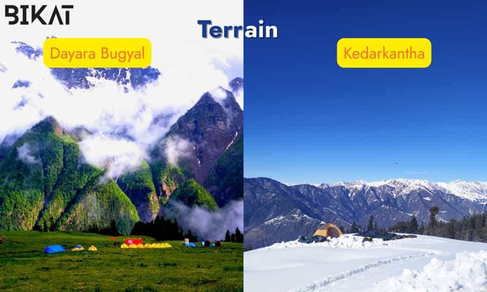 blog-image-0